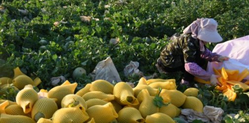 Xinjiang: To build an International logistics hub through an Overland route between Europe and Asia, and to operate regular trains between China and Europe