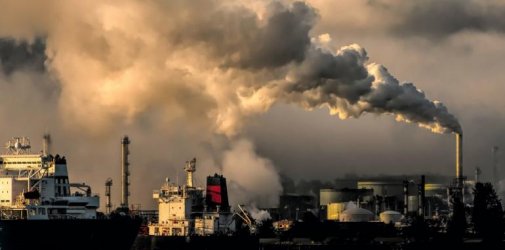 Ban and export blocks shake coal trade