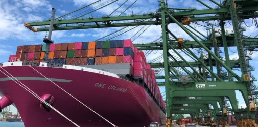 Container spot rates continue their downward march 